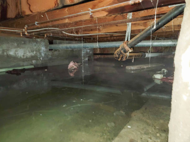 Water damage restoration mold remediation in Redfield, AR