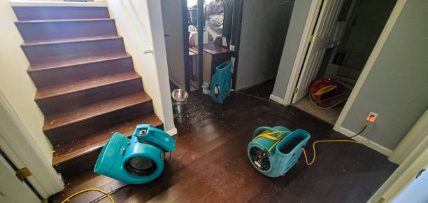 Best Flood damage cleanup  in Redfield, AR