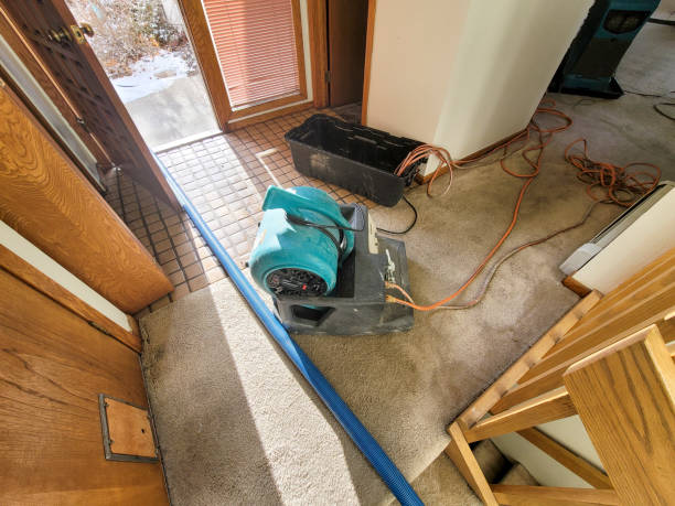 Best Water damage contractors near me  in Redfield, AR