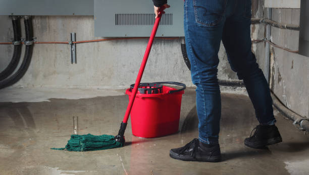 Best Flood damage cleanup  in Redfield, AR