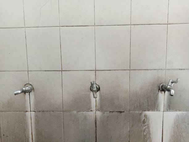 Best Carpet water damage restoration  in Redfield, AR
