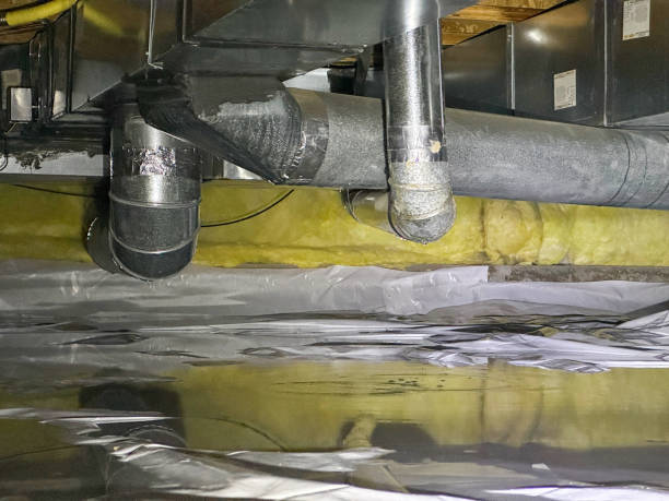Best Professional water damage repair  in Redfield, AR