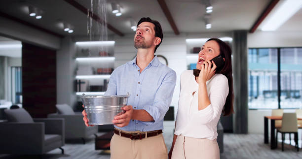 Best Water damage cleanup near me  in Redfield, AR
