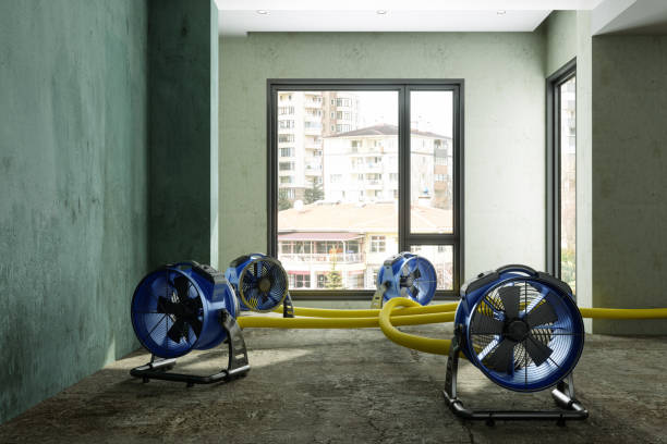 Best Water damage restoration near me  in Redfield, AR