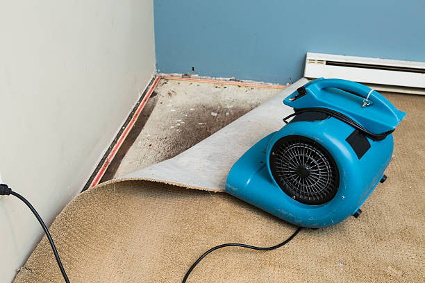 Best Residential water damage restoration  in Redfield, AR